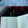 Sama Amer profil fotoğrafı