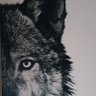 Adam's profile picture
