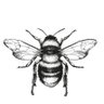The Beekeeper's Dream ็ๅคดๅ