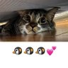 こうのB②🐧🐧🐧 的头像