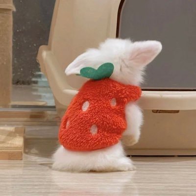 살비 ;'s profile picture
