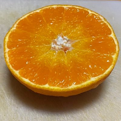 宇津田茂(食べ物紹介アカウント)'s profile picture
