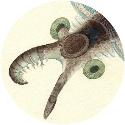 nupotsu104's profile picture