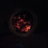 Phoenix Rising's profile picture