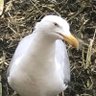 Profilbild von debbbee