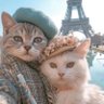 BM's profile picture