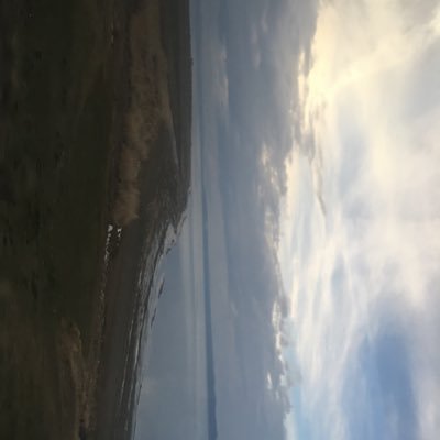 darajine0's profile picture