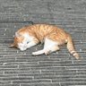 Jack profil fotoğrafı