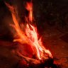 phycopolist's profile picture