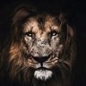YHWEI2189 profil fotoğrafı