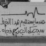 Fars Alanazi 的头像