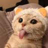tatico 的头像