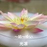 ～結～ゆい 的头像