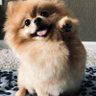 高田裕仁's profile picture