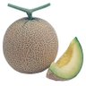 メロンボトル（新） profil fotoğrafı