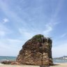 歌舞伎丸 的头像