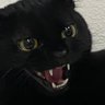 what would tuffy do's profile picture