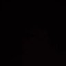 Nationalist's profile picture