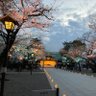 Profilbild von Miux3 保守大同一致　安倍総理の願っていた日本にしよう！真相究明し共謀者を全員極刑に！仇を討つ！