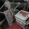 Фото профиля skelbo