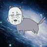 ｷ's profile picture