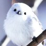 猫みみin ヘルエスタ👑 的头像
