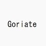 Goriate-Gonzaresu profil fotoğrafı