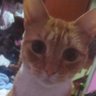 Jesli 💚💚's profile picture