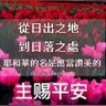 Фото профиля 知常容