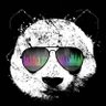 Profilbild von xiongmao.ai