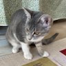 ゆーじー profil fotoğrafı