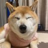 konachiko's profile picture