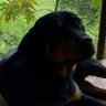 el ga's profile picture