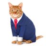 The Power of Meow's profile picture