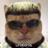 Profilbild von Rott3n