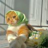 .'s profile picture