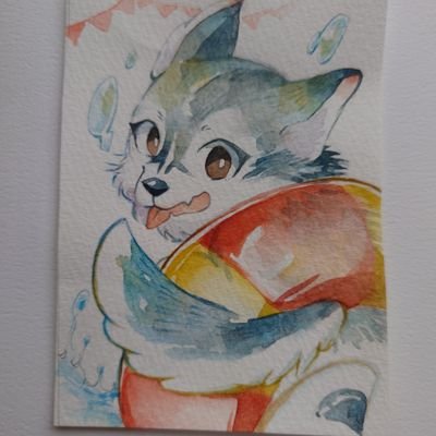 *クロノ*ハスキー's profile picture