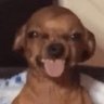 Profilbild von ensosjw