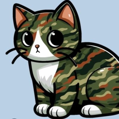 gatocamuflado's profile picture