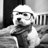 quantc profil fotoğrafı