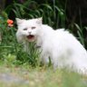 ヒーホー君 profil fotoğrafı