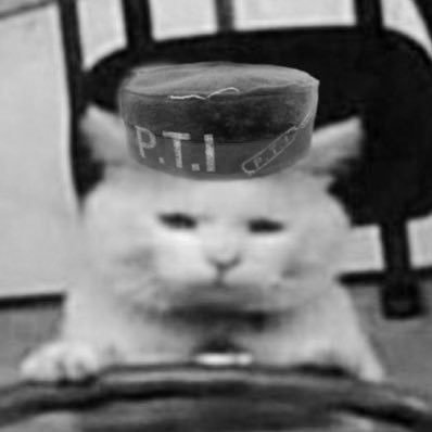s.'s profile picture