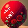 Profilbild von Ahmed Elskhawy