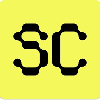 Stripchain's profile picture