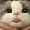 xxxming profil fotoğrafı