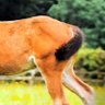 人間だ…もの profil fotoğrafı