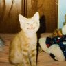 MbRaz profil fotoğrafı