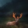Фото профиля Burning Reindeer