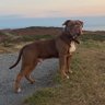 dean profil fotoğrafı