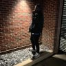 Gem. In. I. 的头像